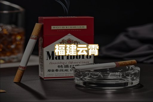福建云霄